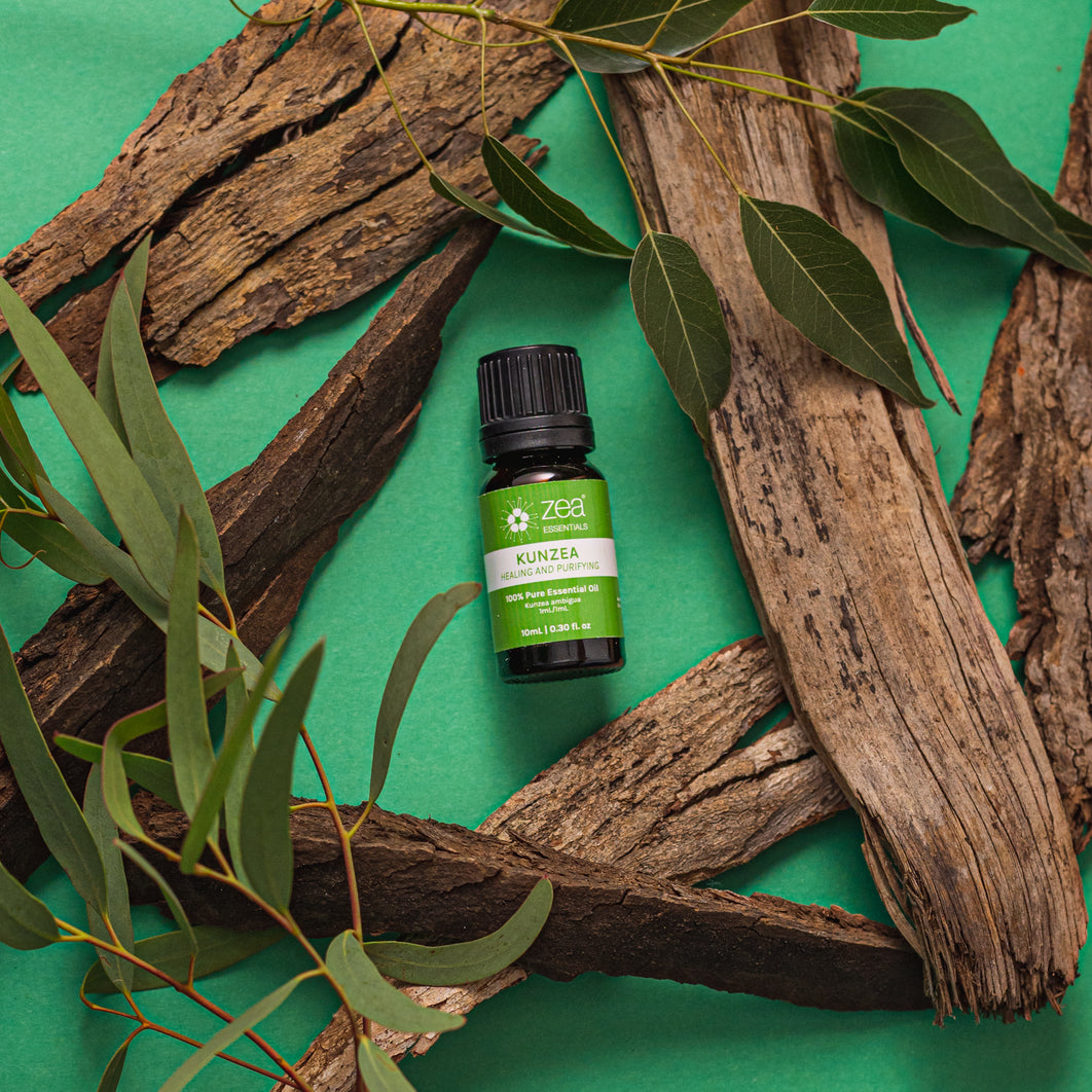 What is Kunzea Tasmania? Everything You Need To Know